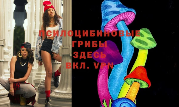стаф Абдулино