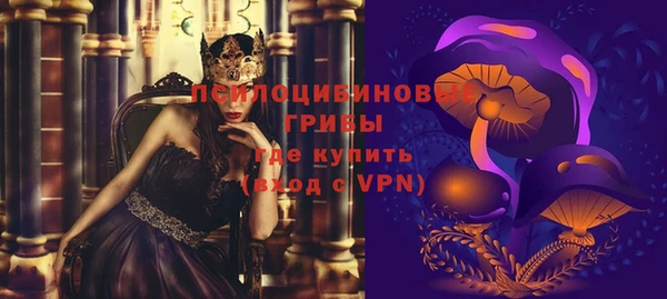 PSILOCYBIN Абинск