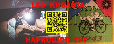 спиды Сланцы