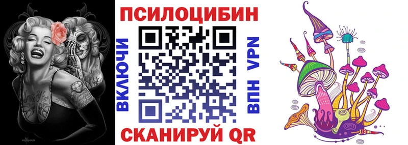 Галлюциногенные грибы Psilocybine cubensis  где купить наркоту  Саранск 